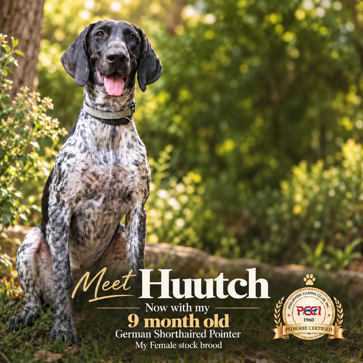 Awakening Instinct — Huutch portrait