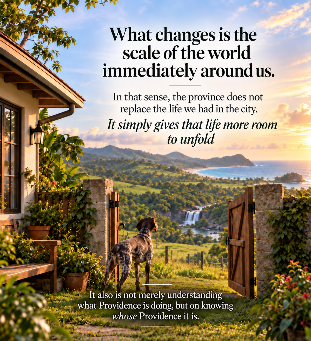 Beyond the Gate — Huutch looking out into the wider world